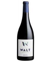 Červené víno Walt Wines Blue Jay Pinot Noir 2020