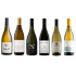 Show me some Chardonnay Tasting Pack