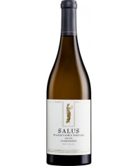 Bílé kalifornské víno Staglin Family Vineyards Salus Chardonnay 2020