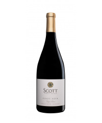 Red wine Scott Family Estate Pinot Noir 2023 from area Monterey