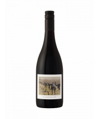 The Language of Yes Grenache 2023 750 ml